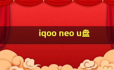 iqoo neo u盘